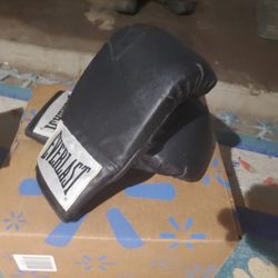 Everlast Boxing Gloves