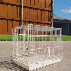 Bird Cage 