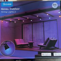 Govee String Lights 2