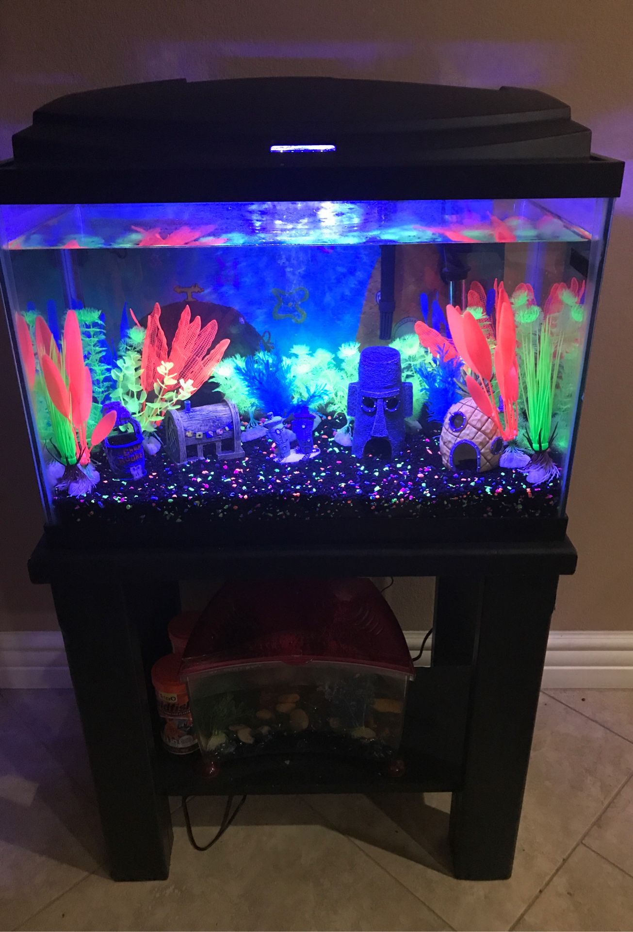 20 gallons glo fish tank all is missing is the glo fish comes with