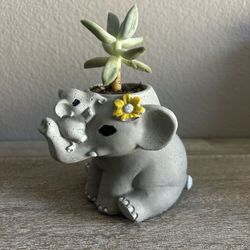 New Planters Made Out Of Cement 