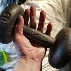 15 Pound Dumbbell Workout Weight