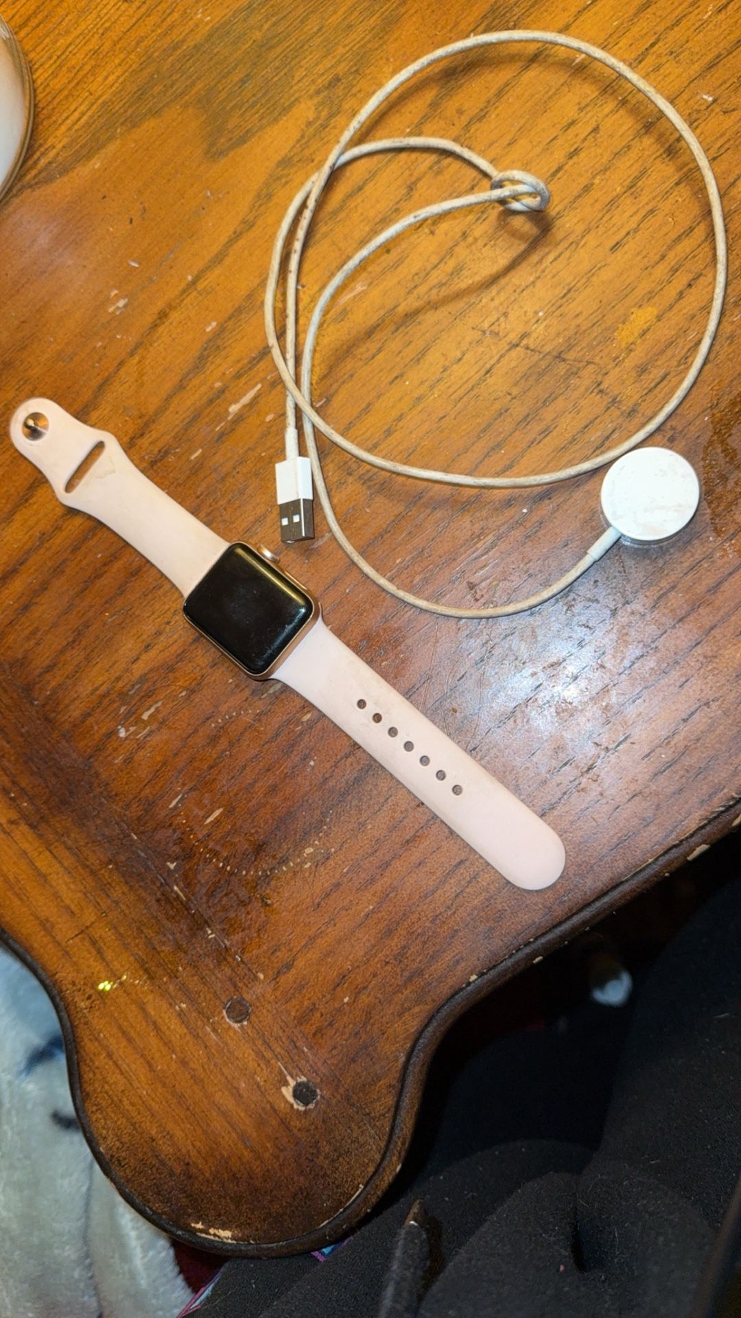 Apple Watch Series 3 With Charger 