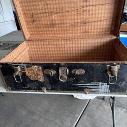 Travel Trunk 