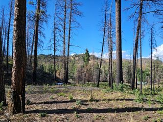 Ruidoso Land .49 Acre