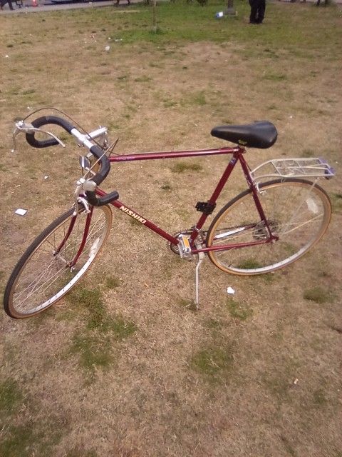 Nishiki incredible lead custom sport