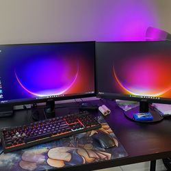 Two (2) 24” ACER monitors. Specs in Description