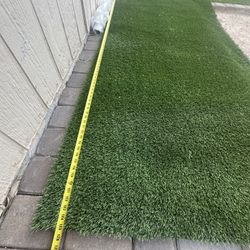 Artificial Grass