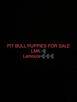 DM For Details 
