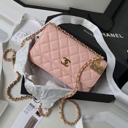WOC Delight Chanel Bag