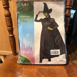 Brand new In Bag Wicked Elphaba Costume