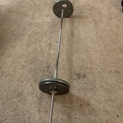 Barbell + Weight Plates (Total 110 Pounds)