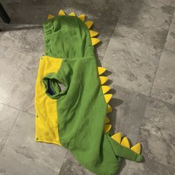 Costume