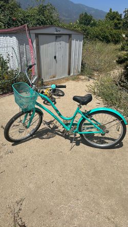 Beach cruiser