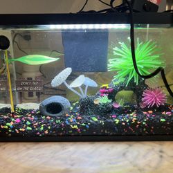 Fish Tank Everything Included