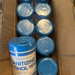 Sanitizer Wipes