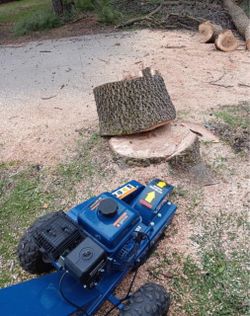 Stump Gone