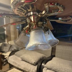 Lights With Fan Hunter $40