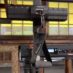 Ancore Pro 65lb
