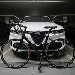 17.8 lb. All-Carbon Trek Domane SLR 6 Racing Bike 