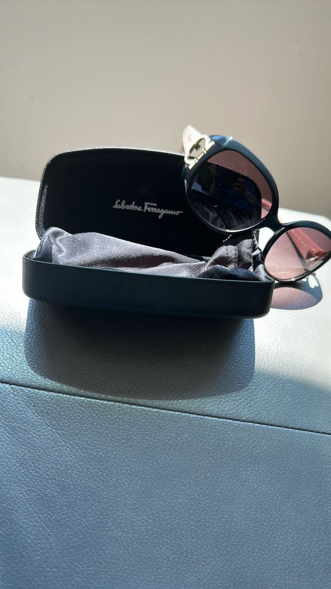 Salvatore Ferragamo Ladies Sunglasses