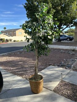 6.5ft Tall Fake Tree With Basket