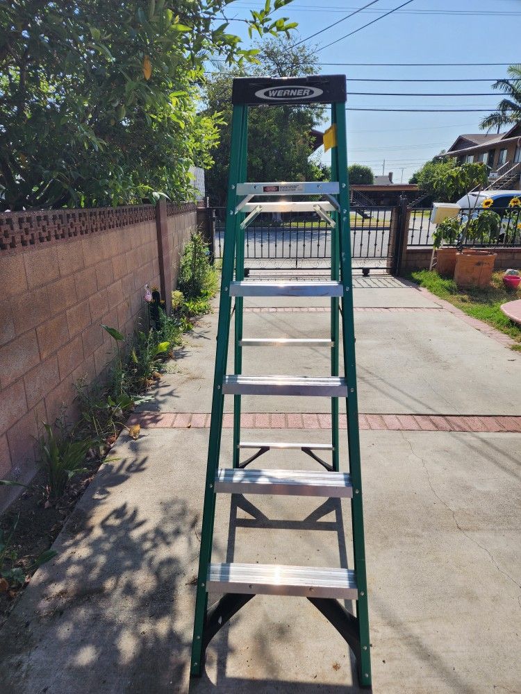 Werner 6ft Fiberglass Ladder