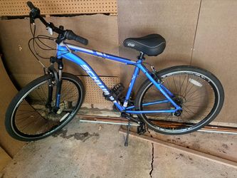 Adult bike