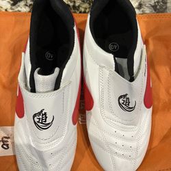 Taekwondo Shoes, Unisex PU Leather Oxford Soles Taekwondo Shoes Lightweight Boxing Kung Fu Tai Chi Sport Gym Shoes With Carry Bag For Children Adults 