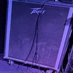 Trade your 2x12 for my Peavey 4x12 guitar cab