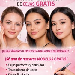 Modelos Para Micropigmentacion 