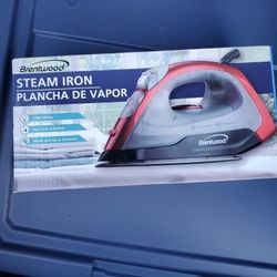 Steam Iron