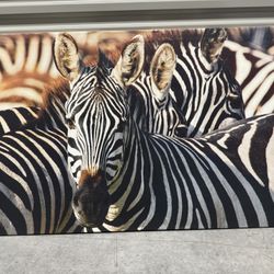 Large Zebra Art