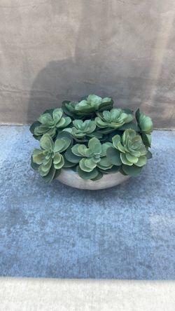Stunning faux succulents planer vase