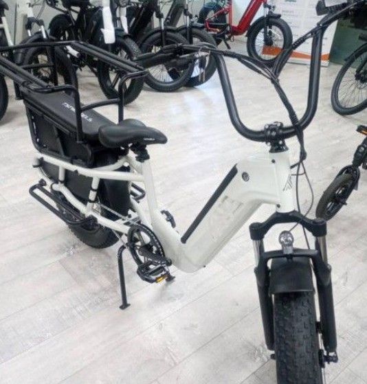 TST Carrier Cargo E-Bike – For Groceries, Kids & Off-Road Commutes