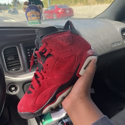 Jordan 6 Toro