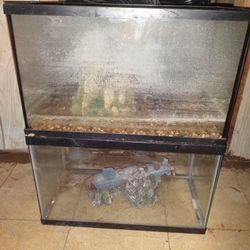 Two 10 Gallon Fish Tanks 