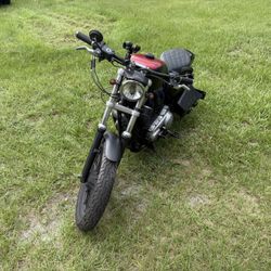 2009 Harley Sportster 