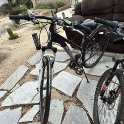 Schwinn Women’s Gtx3 Mountain Bike