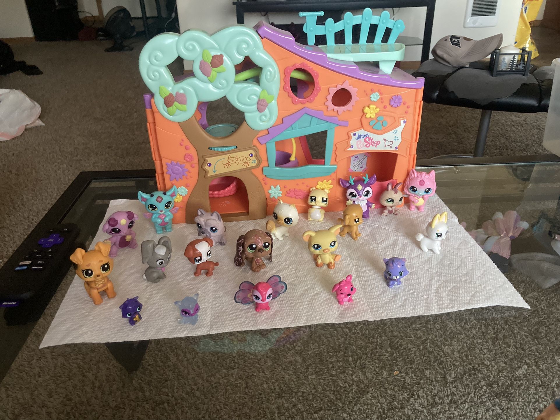 Pet Shop /and More