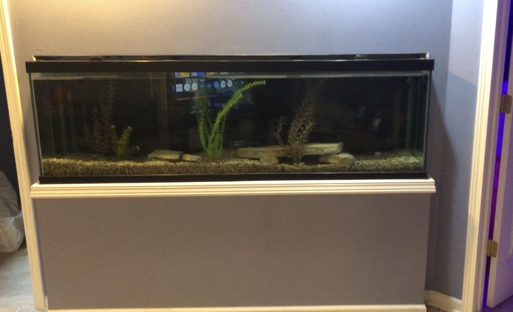 125 Gallon Fish Tank and SetUp plus Accessories