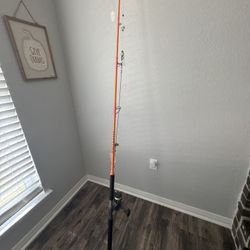 Hellcat Rod And Spinning Reel 