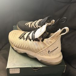 LEBRON XVI  Equality Edition