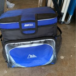 Mini Cooler Backpack