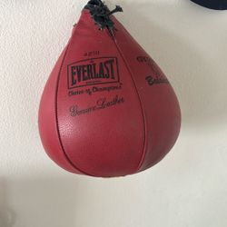 everlast Speed Bag 