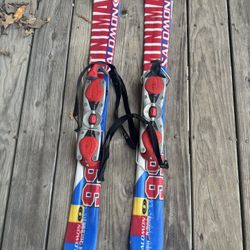 Salomon Snowblades
