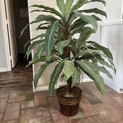 Artificial Plants 