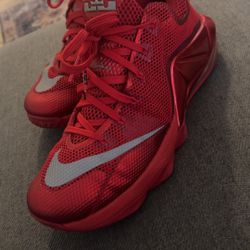 Nike Lebron 12 Low Basketball Shoes 