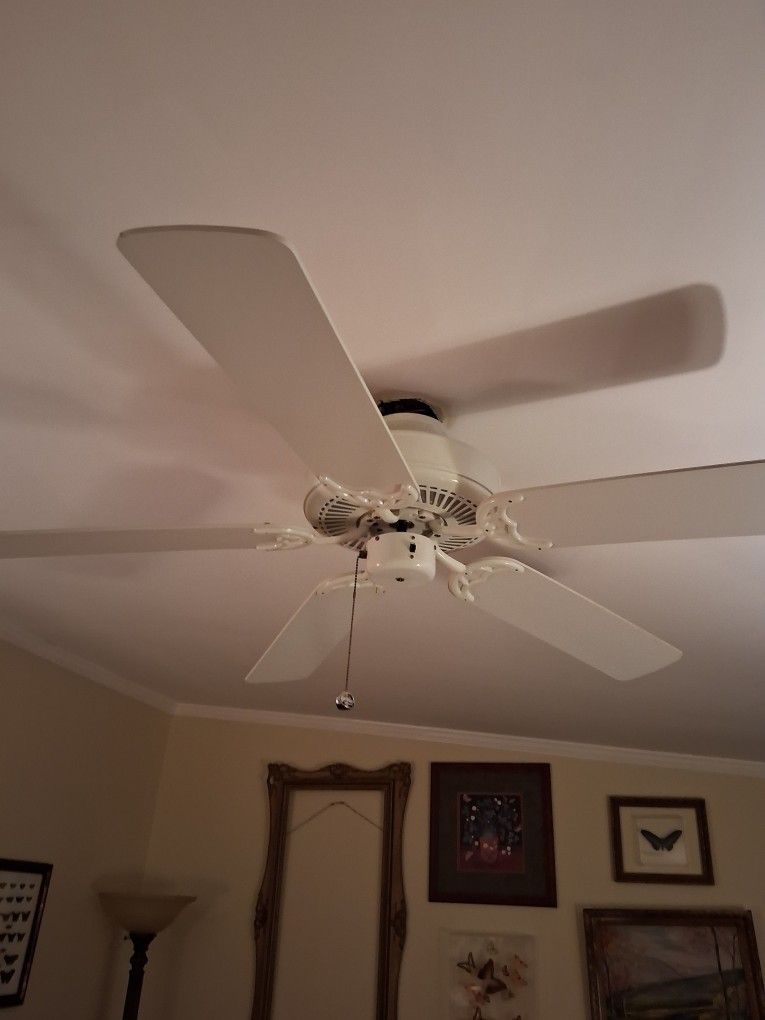 White Cieling Fan