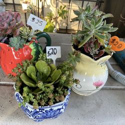 Succulent Planters